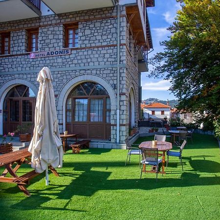 Hotel Adonis Мецово Екстер'єр фото
